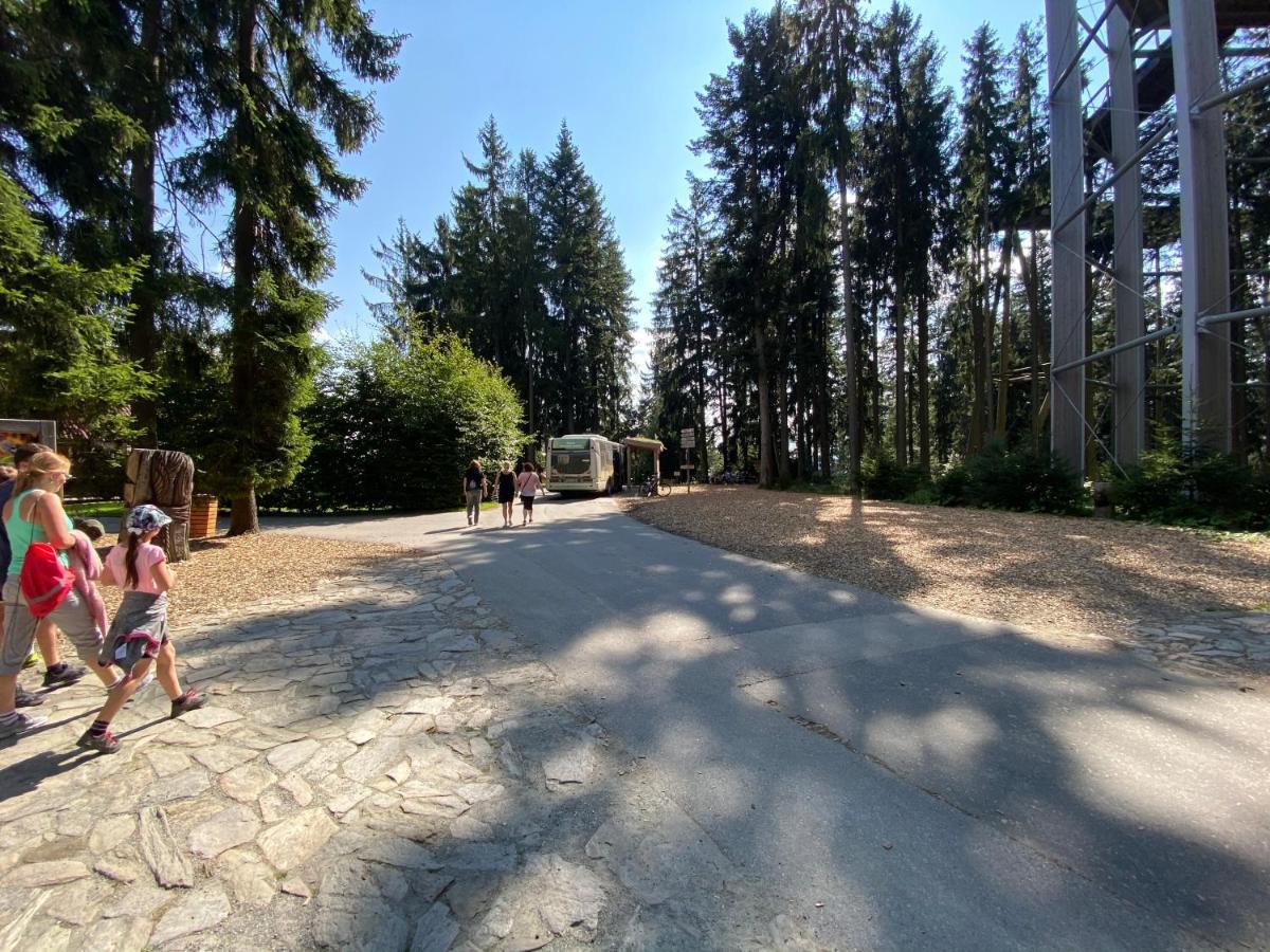 Apartmany Lipno 46 Lipno nad Vltavou Εξωτερικό φωτογραφία